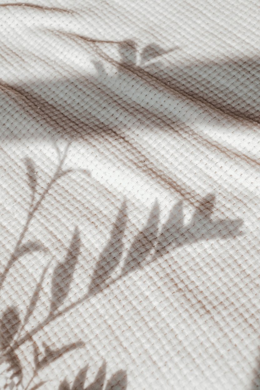 Shadow of Leaves on a Wall